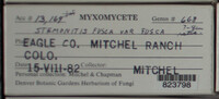 Image Associated With the Occurence